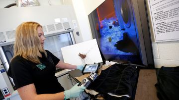 Leslie Thomson demuestra lo más novedosos en el análisis de muestras de sangre en el laboratorio del Buró de Servicios Científicos de Los Ángeles.