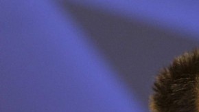 Dunga está enojado con sus jugadores por mezclar 'agua y aceite'.