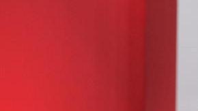 Enrique Peña Nieto, presidente de la República Mexicana por el Partido Revolucionario Institucional (PRI).