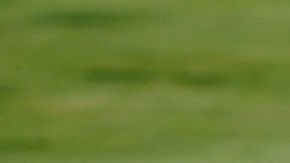 De Gea, una historia increíble.