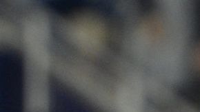 Brady, bien con los Patriots.