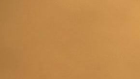 Un bombero combate el fuego en la Autopista 29, al oeste de Lower Lake, en Middletown. /EFE