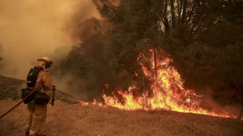 Un bombero combate el fuego en la Autopista 29, al oeste de Lower Lake, en Middletown. /EFE