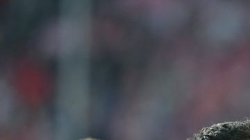 'Lewan' está que arde.