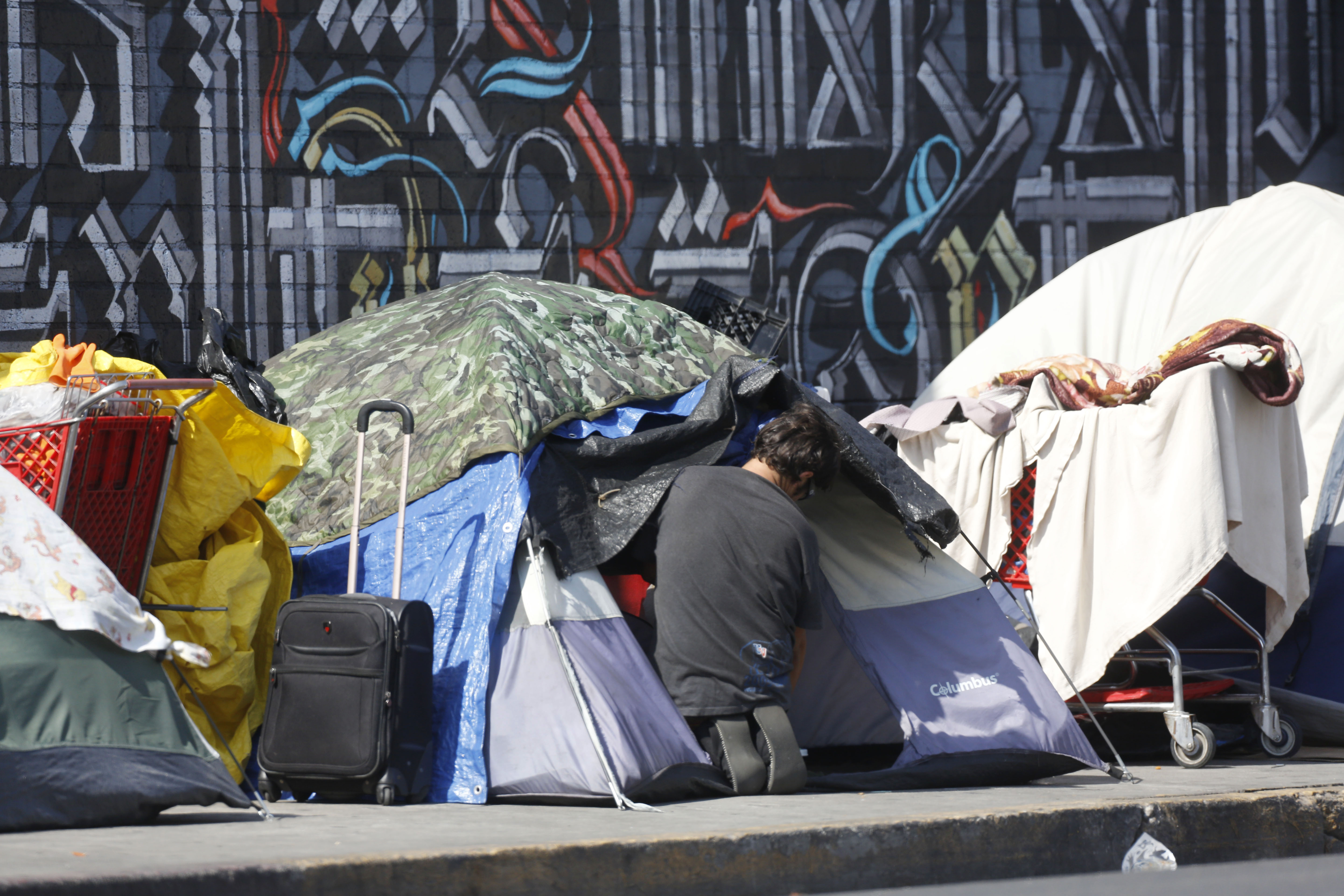 The Homeless Crisis In Los Angeles La Opinión