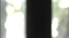 ben carson musulmanes