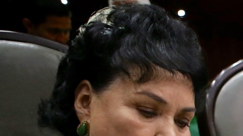 La actriz mexicana, Carmen Salinas Lozano, lleva menos de un mes en su cargo como diputada federal.
