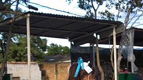 Decenas de estudiantes cruzan desde Venezuela a Colombia por un corredor humanitario habilitado por las autoridades venezolanas para retomar sus clases, interrumpidas desde hace dos semanas por el cierre de la frontera,