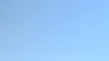 Delano 543D59FBD61C8D7EE60BF8B688D59C03_data