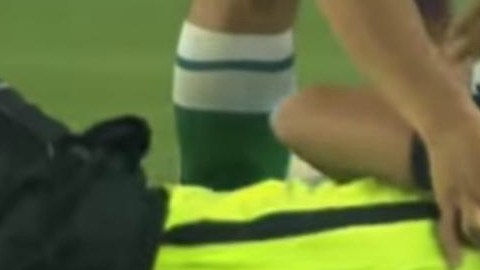 El árbitro Delfino yacía en el pasto del estadio Néstor Díaz Pérez.
