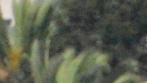 Los centroamericanos se aprestan a celebrar sus fiestas patrias este 12 y 13 de septiembre.