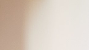 Todo individuo está listo para casarse cuando haya alcanzado la madurez emocional.