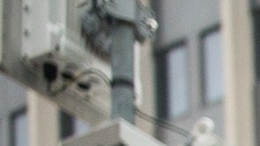 Grupos proinmigrantes en una manifestación a favor de los programas de acción ejecutiva. Foto: Getty