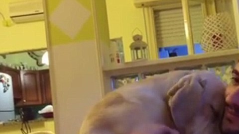 ettore abrazo perro