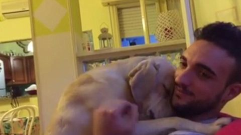 ettore abrazo perro