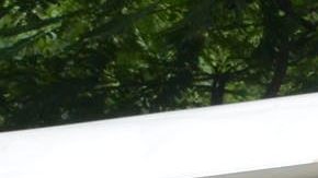 Indignación en México