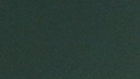 Sameh Shoukry, Ministro de Relaciones Exteriores egipcio.