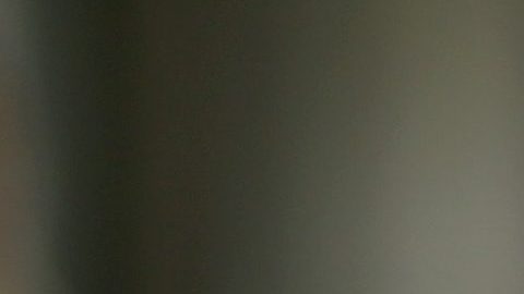 La Presidenta del DNC Debbie Wasserman Schultz fue interrumpida por protestas internas este fin de semana, que pedían más debates