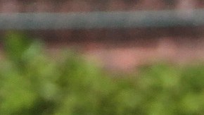 Starling Marte (izq.), Andrew McCutchen (centro) y Gregory Polanco (der.) constituyen el talentoso outfield de Pittsburgh.