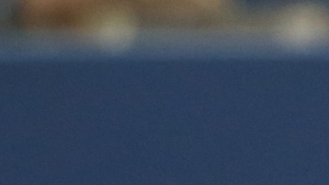 Josh Donaldson es el motor de los Azulejos de Toronto, uno de los equipos del momento en Grandes Ligas, y candidato al Más Valioso de la Liga Americana.
