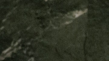 El Papa se dirigió a la Asamblea General de las Naciones Unidas.