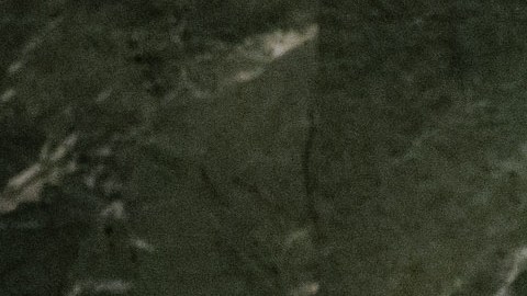 El Papa se dirigió a la Asamblea General de las Naciones Unidas.