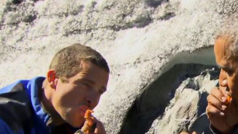 obama salmon