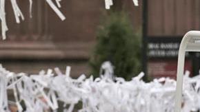 papa francisco cambio climatico