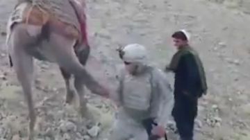 patada camello soldado