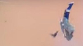 El piloto está hospitalizado.