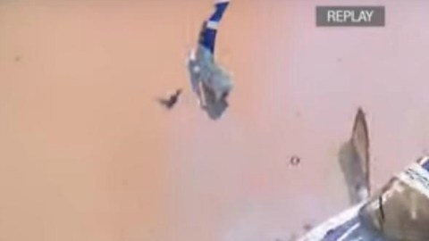 El piloto está hospitalizado.