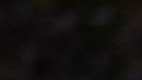 crear y monitorear un sistema de "intervención temprana" del NYPD. Getty Images