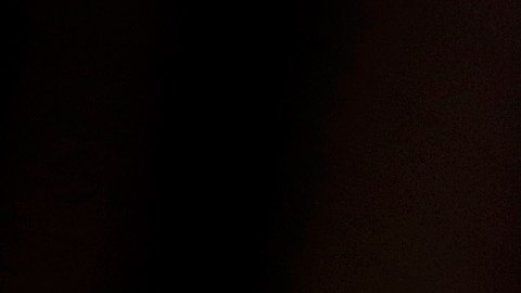 El Presidente del Comité Nacional Republicano, Reince Preibus.