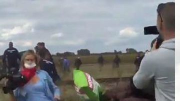 reportera hungara xenofoba