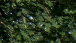 La Policía húngara contiene a los inmigranets con agua a presión.