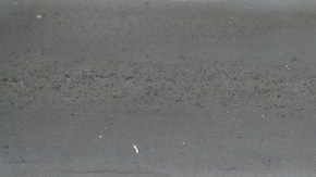 estacionarse