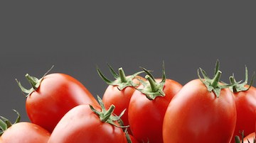 tomates