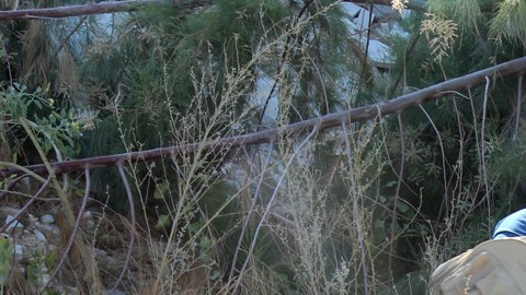 Miembros del Grupo Vida buscan fosas clandestinas.