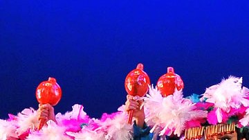 El prestigioso y conocido Ballet Folklórico de México de Amalia Hernández llegará a San José el 10 de octubre.