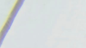 IDEPSCA tiene 4 centros de jornaleros en la ciudad de Los Ángeles y otros tres en ciudades aledañas.