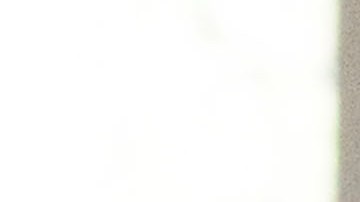 Más de 200 profesionales del rodeo pertenecientes a la Asociación de Vaqueros Profesionales compiten por premios en efectivo durante el fin de semana.