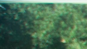 FREE CLINICS AT THE LA COLISEUM