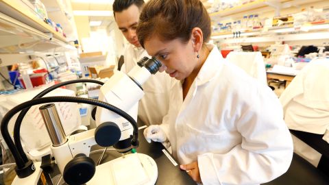 Los estudiantes mexicanos Socrates Munoz y Marcela son parte de los investigadores de ese pais que han llegado para avanzar estudios en USC.