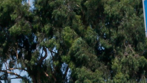 La esquina del bulevar Wilshire y la calle Alvarado es una de las más peligrosas para cruzar, según el LAPD.