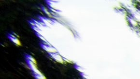 Maria Dolores Tafoya y su esposo Jose Maesta, ambos originarios de Mexico, venden y viven en las calles de Los Angeles.