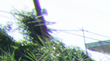 El Niño llega a Boyle Heights con fuerza y deja en su paso inundaciones y deslaves.