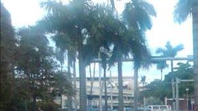 El porcentaje de niños y adolescentes obesos en el Sur de California disminuyó durante los pasados dos años.