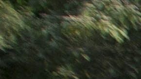 Rescatistas buscan víctimas tras un deslizamiento de tierra en la colonia El Cambray II del municipio de Santa Catarina Pinula, a unos 22 kilómetros de Ciudad de Guatemala.