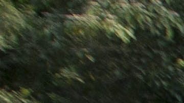 Rescatistas buscan víctimas tras un deslizamiento de tierra en la colonia El Cambray II del municipio de Santa Catarina Pinula, a unos 22 kilómetros de Ciudad de Guatemala.