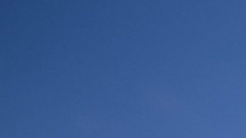 Manifestantes gritan consignas durante una marcha conmemorativa de la "Marcha del Millón" en Washington DC.